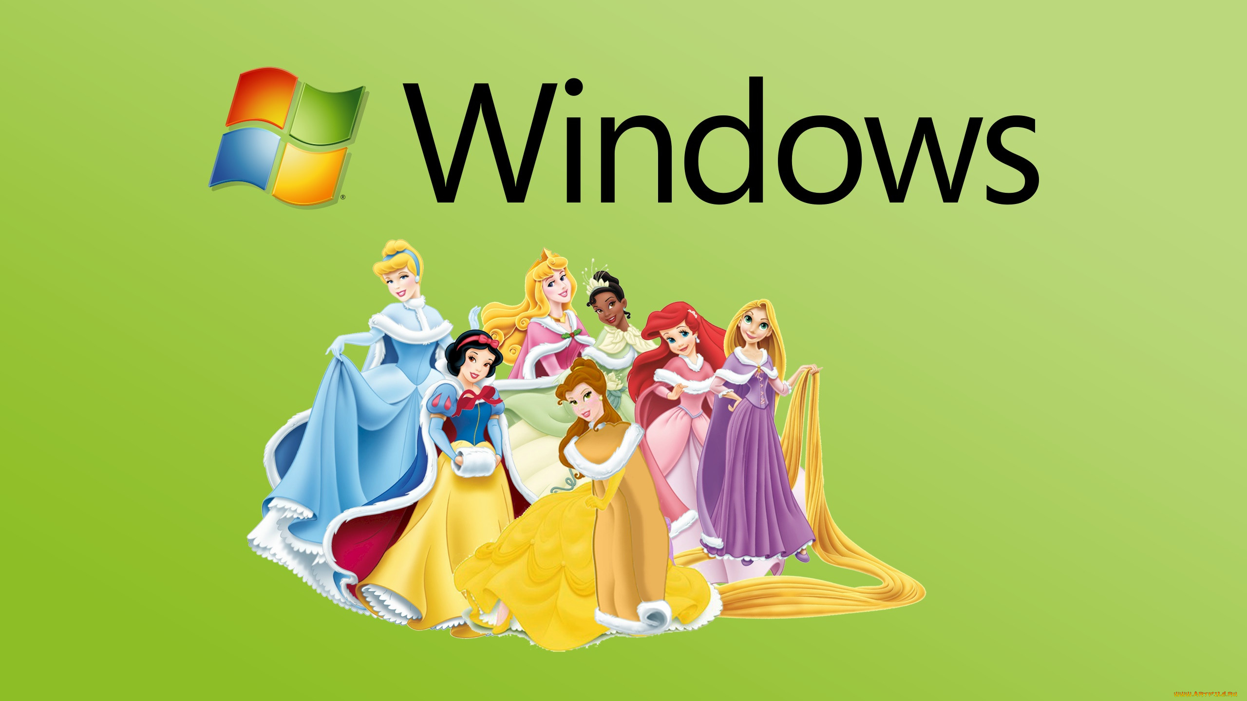 , windows xp, , , , 